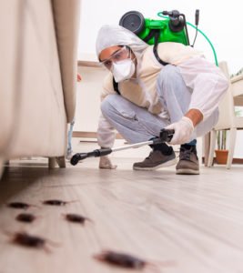 pest control specialist